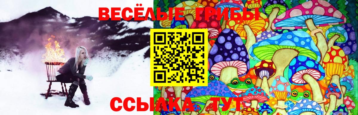 Псилоцибиновые грибы Psilocybe  Вход с VPN  Черняховск  Псилоцибиновые грибы MAGIC MUSHROOMS 