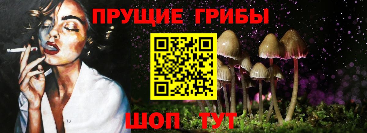 Галлюциногенные грибы Psilocybine cubensis Черняховск